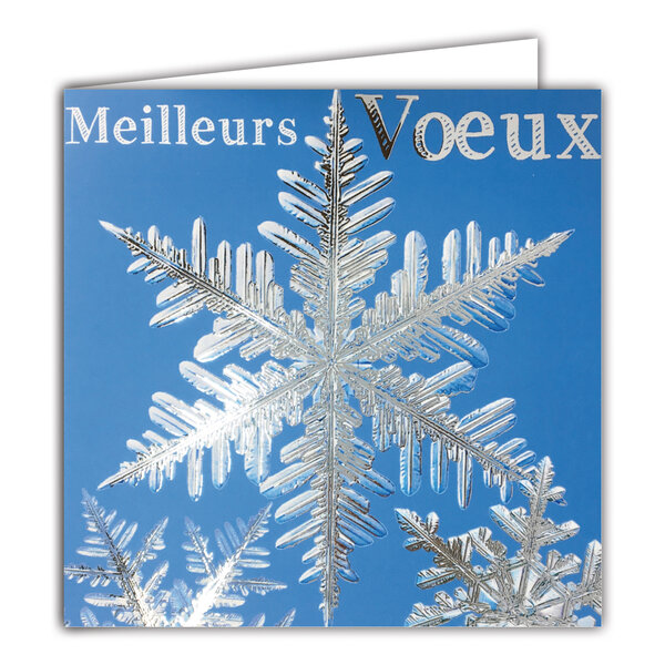 Carte Meilleurs Vœux avec Enveloppe Blanche 15x15cm
