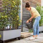 LECHUZA Jardinière TRIO Stone 30 ALL-IN-ONE Gris pierre