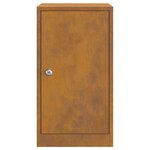 vidaXL boîte aux lettres Rouillé 30 x 23 x 55 cm