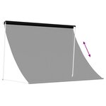 vidaXL Auvent Noir 250 x 150 cm