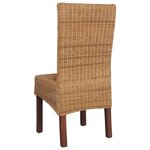 vidaXL Chaises à manger lot de 2 marron rotin naturel