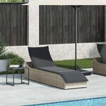 vidaXL Chaise longue pliante coussin et rangement gris clair polyrotin