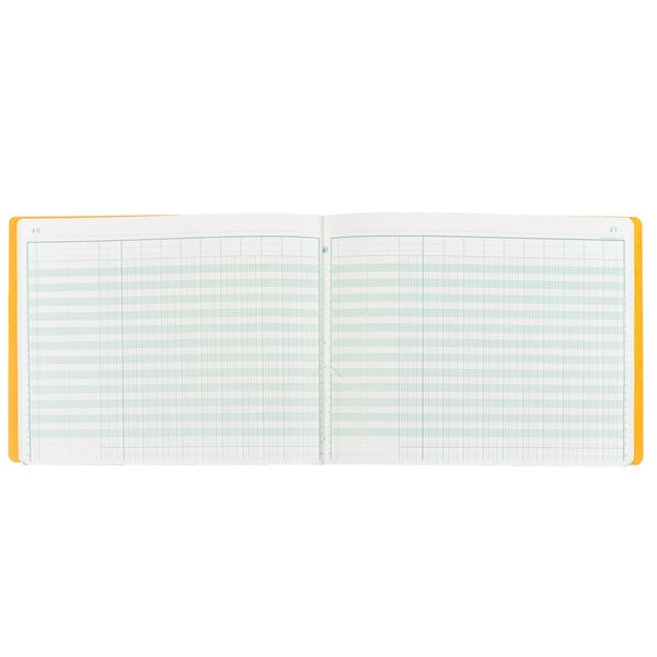 Registre piqûre 11 colonnes exacompta 6110