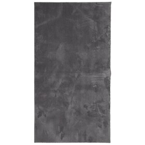 vidaXL Tapis HUARTE à poils courts doux et lavable anthracite 80x150cm