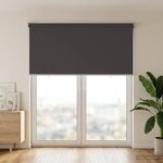 vidaXL Store roulant extérieur protection UV Anthracite Polyester