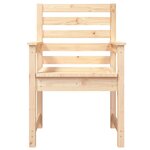 vidaXL Chaises de jardin lot de 2 60x48x91 cm bois massif de pin