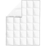 vidaXL Couette en duvet d'hiver 2 Pièces 140 x 200 cm