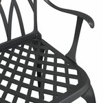 vidaXL Chaise de jardin 2 Pièces Noir 55 x 56 5 x 91cm Aluminium
