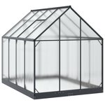 vidaXL Serre de jardin avec porte Anthracite 183 5 x 243 5 x 207 cm