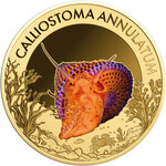 Monnaie VIOLET-BANDED TOP SNAIL Sea Creatures 1/1000 Oz Or 3000 Francs Chad (PRÉCOMMANDE)