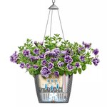 LECHUZA Jardinière suspendue NIDO Cottage 35 ALL-IN-ONE Marron sable