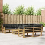 vidaXL Ensemble de canapés d'extérieur 9 Pièces Blanc et anthracite