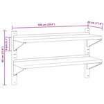 vidaXL Étagère murale à 2 niveaux 100x30x60cm argenté acier inoxydable