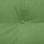 vidaXL Coussin de Dos Vert clair 100 x 24 x 50 cm Velours