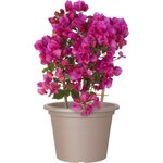 ARTEVASI - Pot venezia cilindro 60cm taupe 60 x 60 x h43 cm - 2,01l