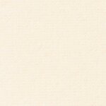 vidaXL Couvertures à jeter 24 Pièces Crème 240 x 220 cm Toison