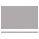 vidaXL Auvent Gris clair 500 x 300 x 165 cm Polyester et métal