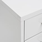 vidaXL Classeur mobile Gris 28x41x109 cm Métal