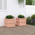 vidaXL Jardinières 2 Pièces bois massif douglas