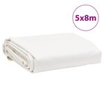 vidaXL Bâche blanc 5x8 m 650 g/m²