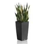 LECHUZA Jardinière CUBICO Cottage 30 ALL-IN-ONE Granite