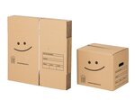 Pack 10 cartons à livres avec poignées