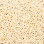 vidaXL Tapis d'escalier 10 pièces 65 x 21 x 4 cm Crème Bord rectangulaire