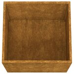 vidaXL Jardinières 2 Pièces 49x47x46 cm acier corten