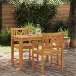 vidaXL Chaises de jardin 2 Pièces 56x56x90 cm En bois d'acacia massif
