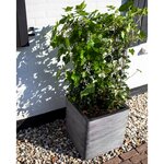 Capi Jardinière Nature Rib Carré 50 x 50 cm Anthracite