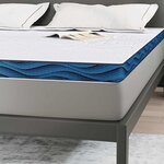 vidaXL Coussins de Matelas Blanc et bleu 200 x 200 cm