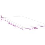 vidaXL Coussins de Matelas Blanc 100 x 200 cm