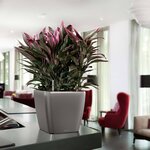LECHUZA Jardinière QUADRO LS 28 ALL-IN-ONE charbon 16143