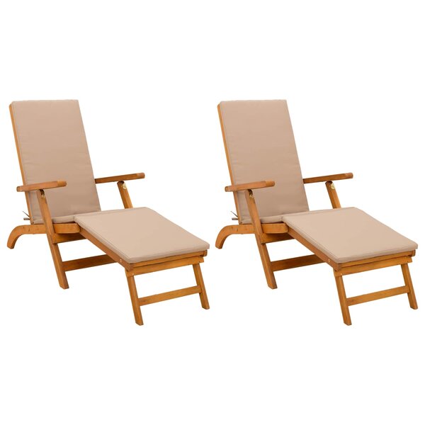 vidaXL Chaise longue inclinable et pliable 2 Pièces 55 x 146 x 91 cm