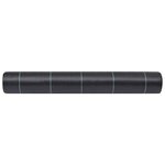 vidaXL Toile de paillage Noir 2x5 m PP