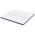 vidaXL Coussins de Matelas Blanc et Bleu 200 x 200 cm