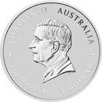 Pièce de monnaie en Argent 1 Dollar g 31.1 (1 oz) Millésime 2025 AUSTRALIAN QUOKKA