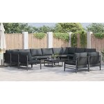 vidaXL Ensemble de canapé de jardin 12 Pièces Anthracite Acier
