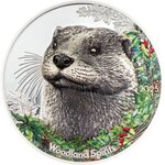 Pièce de monnaie en Argent 500 Togrog g 31.1 (1 oz) Millésime 2025 Woodland Spirit OTTER (PRÉCOMMANDE)