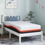 vidaXL Matelas Blanc  Gris 80 x 160 cm Mousse