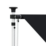 vidaXL Auvent rétractable manuel Noir 150 cm
