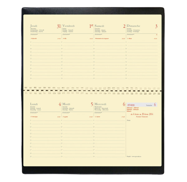 Recharge (Sans Couverture) Agenda Planital FR 8,8 x 17 cm QUOVADIS