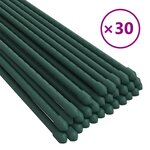 vidaXL Piquets pour plantes de jardin 30 Pièces vert 180 cm acier