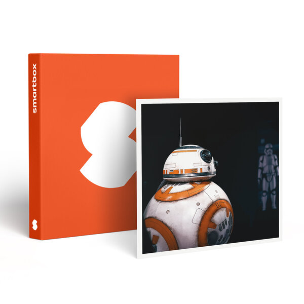 SMARTBOX - Coffret Cadeau Disney100 : L’Exposition - 1 billet Open pour 1 adulte -  Sport & Aventure