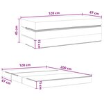 vidaXL Canapé-lit pliable 120 x 67 x 45 cm Noir