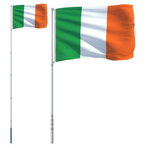 vidaXL Drapeau de l'Irlande et mât 5 5 m Aluminium