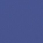 vidaXL Auvent latéral rétractable bleu 160x1200 cm