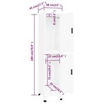 vidaXL Armoire à casiers Blanc 38x45x180 cm Acier