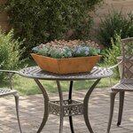 vidaXL Bacs à plantes de jardin   5 Pièces  50x50x15 cm en acier corten.