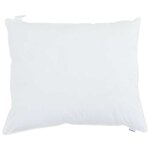 vidaXL Oreiller avec oreiller 2 Pièces Blanc 60 x 70 cm Coton